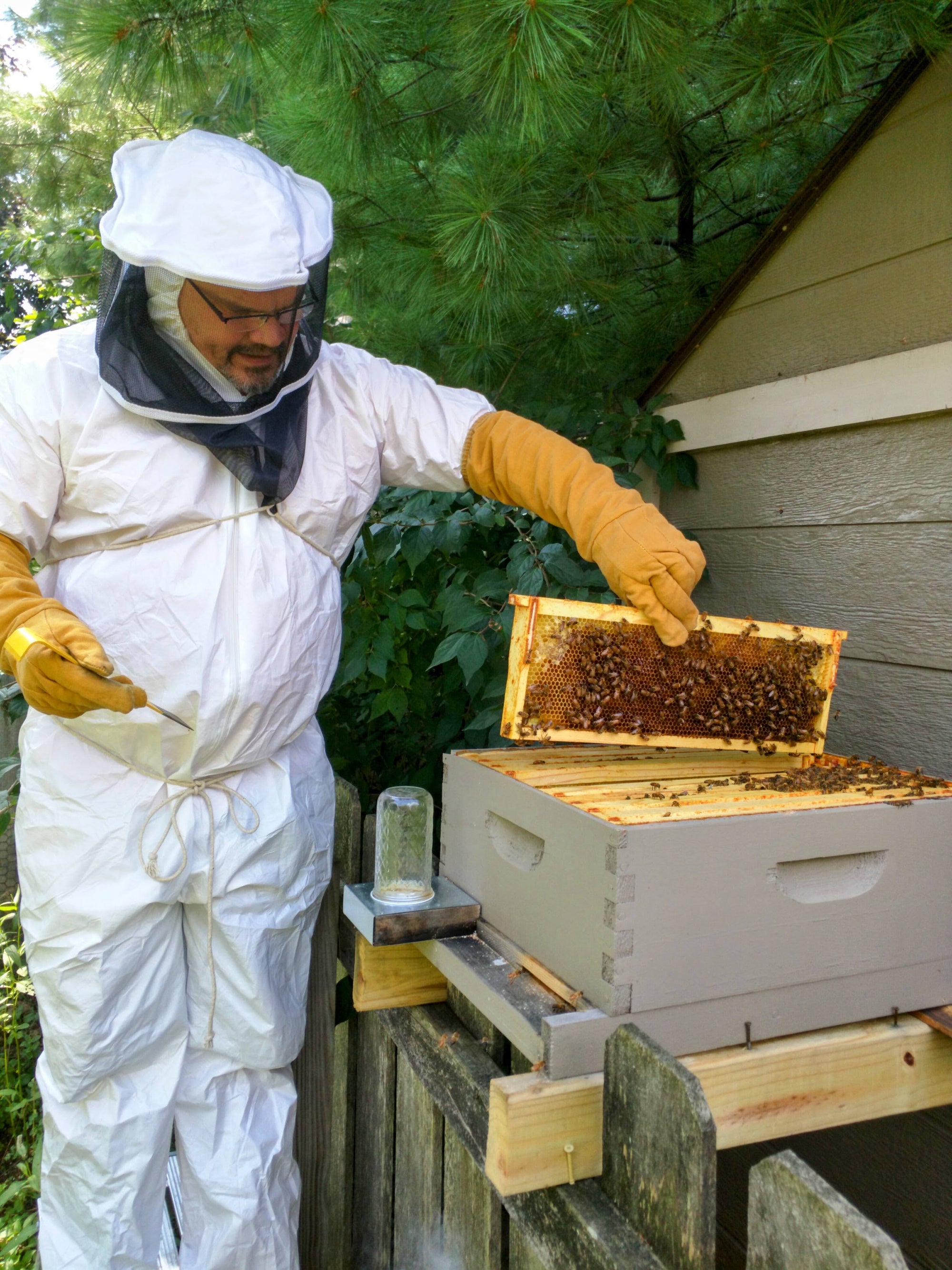 Beekeeper